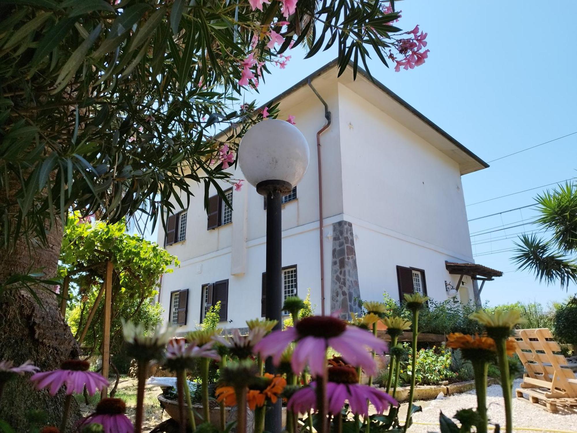 La Domus Di Cosa Bed and Breakfast Ansedónia Exteriör bild